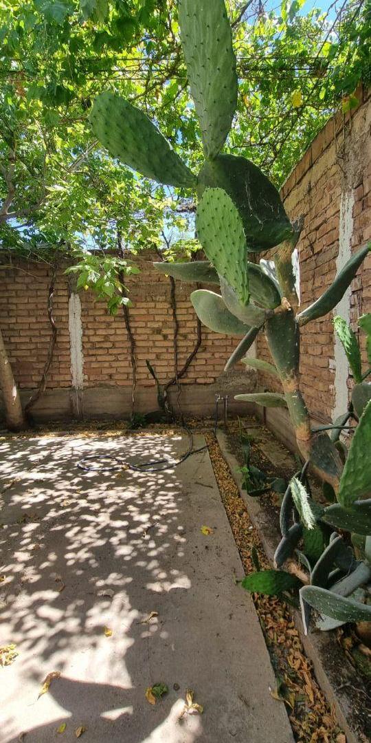 Foto de Casa en venta de 200 m², San Eduardo, Maipú, imagen 4
