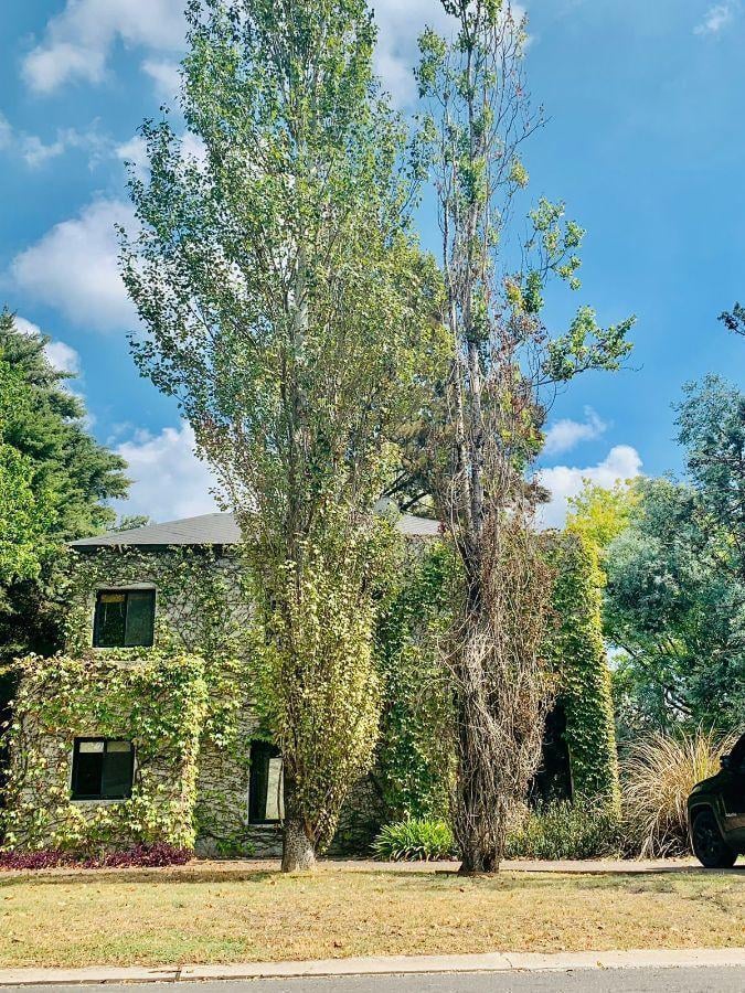 Foto de Casa en venta en Saint Thomas Norte, Canning, imagen 1