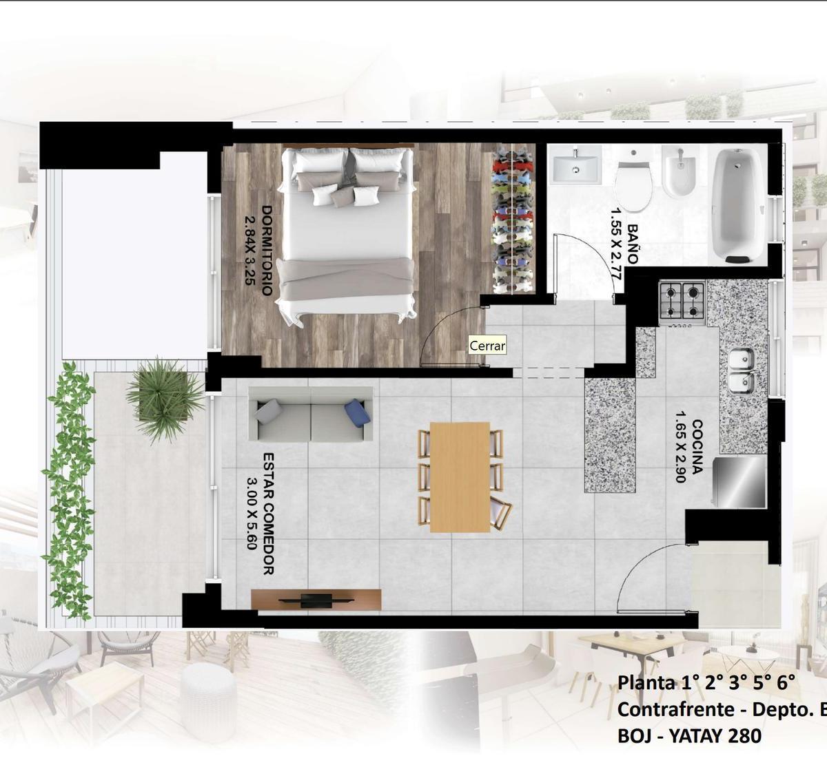 Plano 6