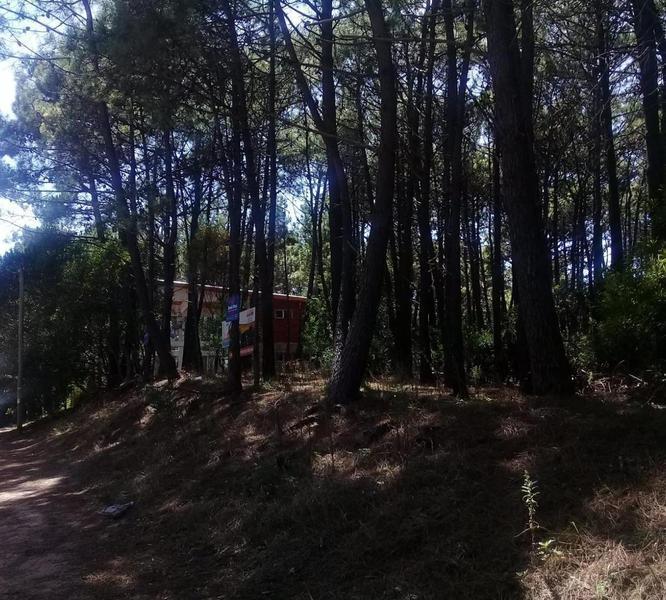 Excelente Lote con Plano Aprobado Para Hosteria y Casa de Te 2