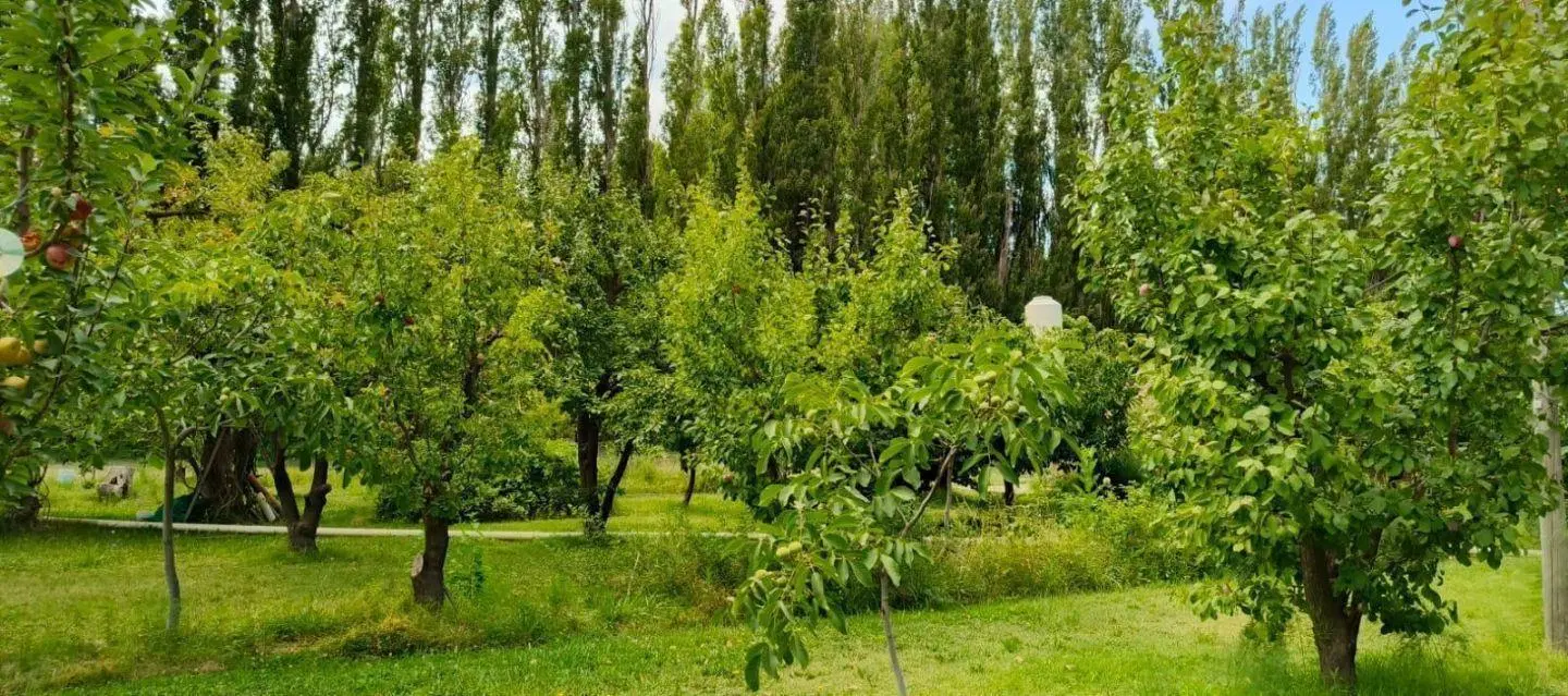 Chacra en Neuquen 3