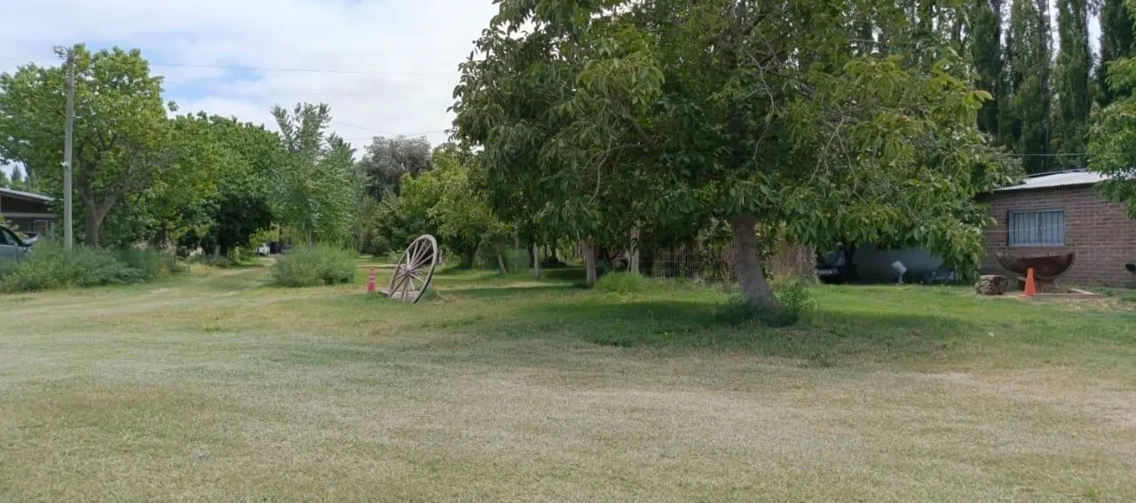 Chacra en Neuquen 2