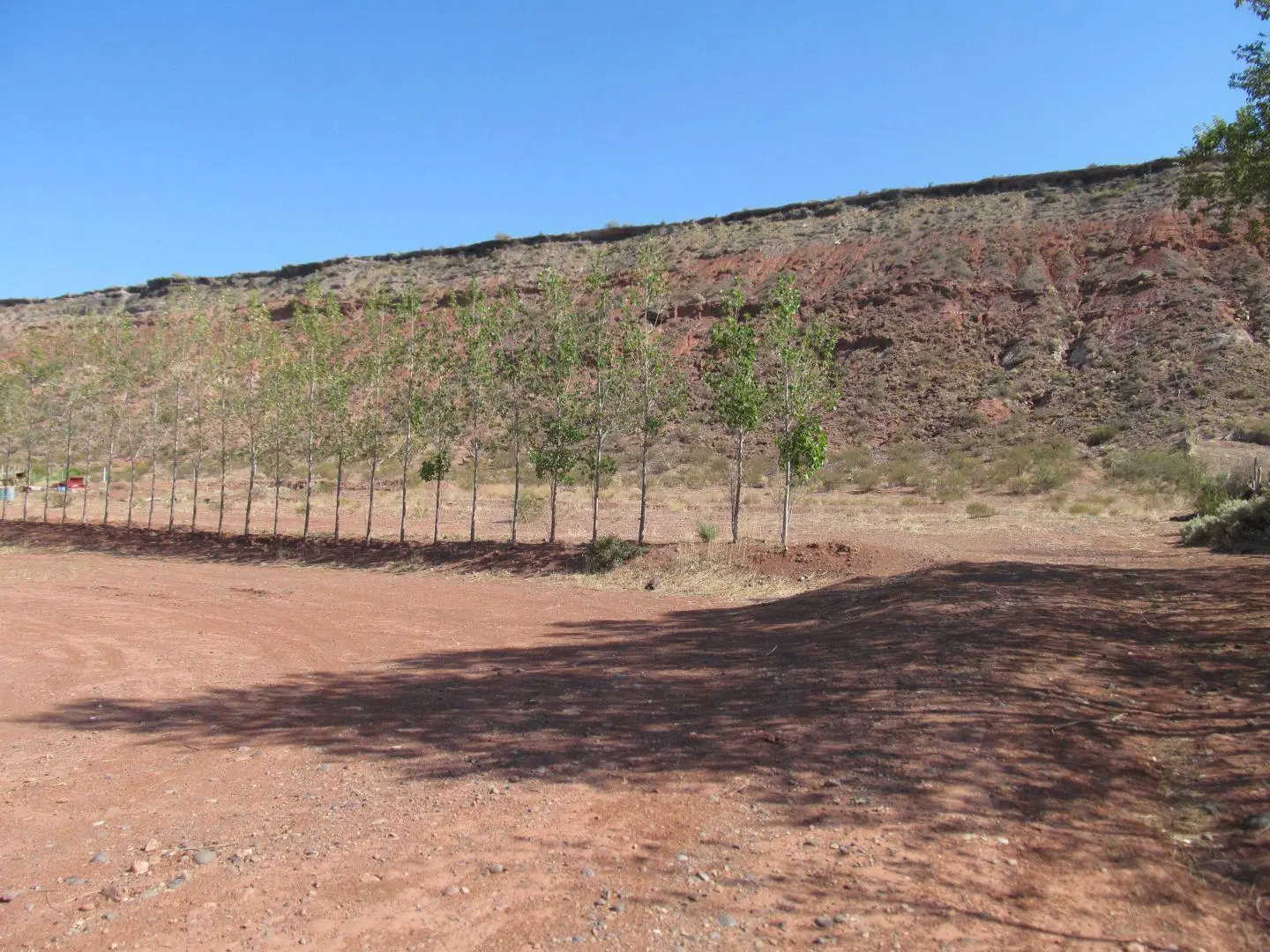 Lote . | RUTA 17 5