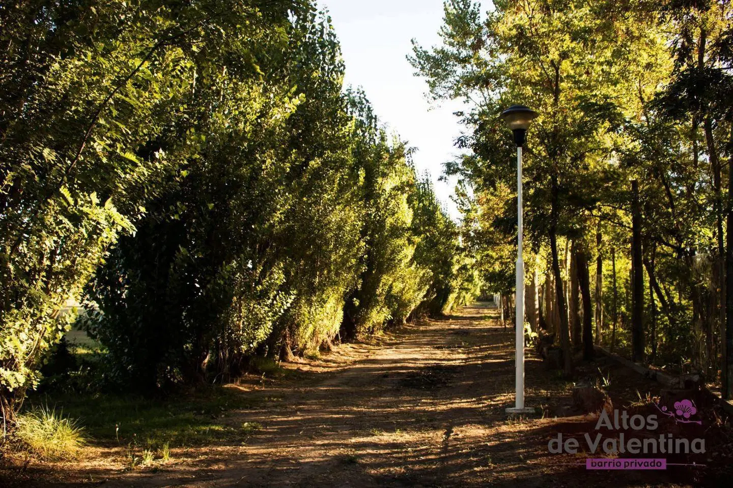 SE VENDO LOTE EN BARRIO CERRADO ALTOS DE VALENTINA 4