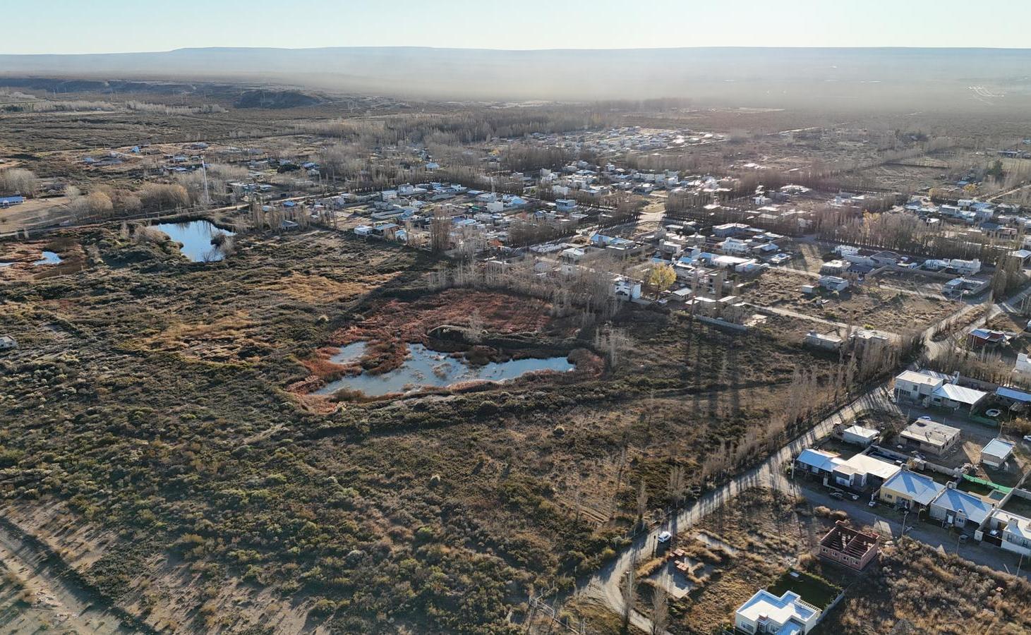 Foto de Chacra de 10 HA apta desarrollo en Plottier, imagen 3