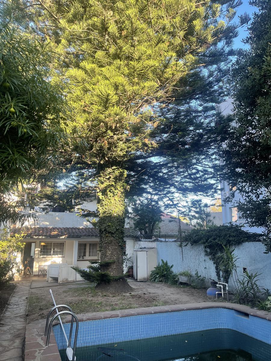 Foto de Casa 3 dormitorios con pileta en Victoria, imagen 4