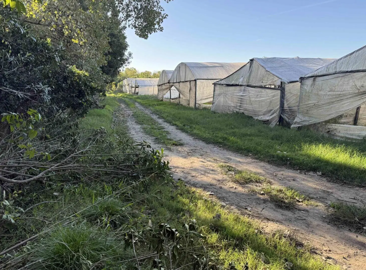 Campo de 3,4 ha en Escobar 3