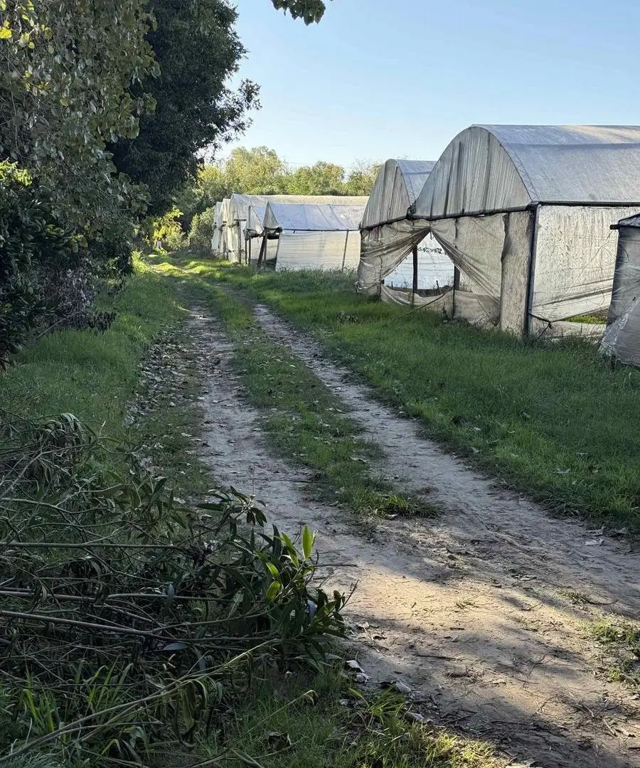 Campo de 3,4 ha en Escobar 5