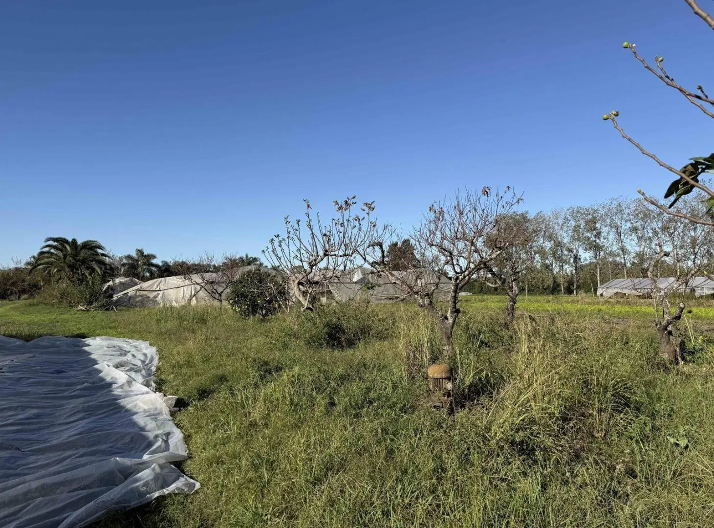 Campo de 3,4 ha en Escobar 2