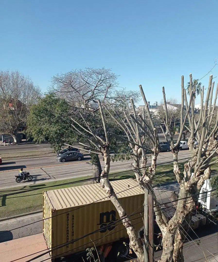 Terreno en venta Lote 564 m2 sobre Avenida Mitre Sarandi Avellaneda 2