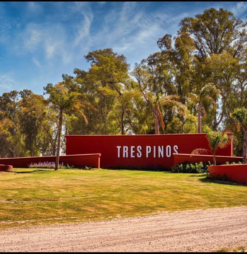 Foto de Terreno en General Rodriguez Los tres pinos , Villa de Campo, imagen 5