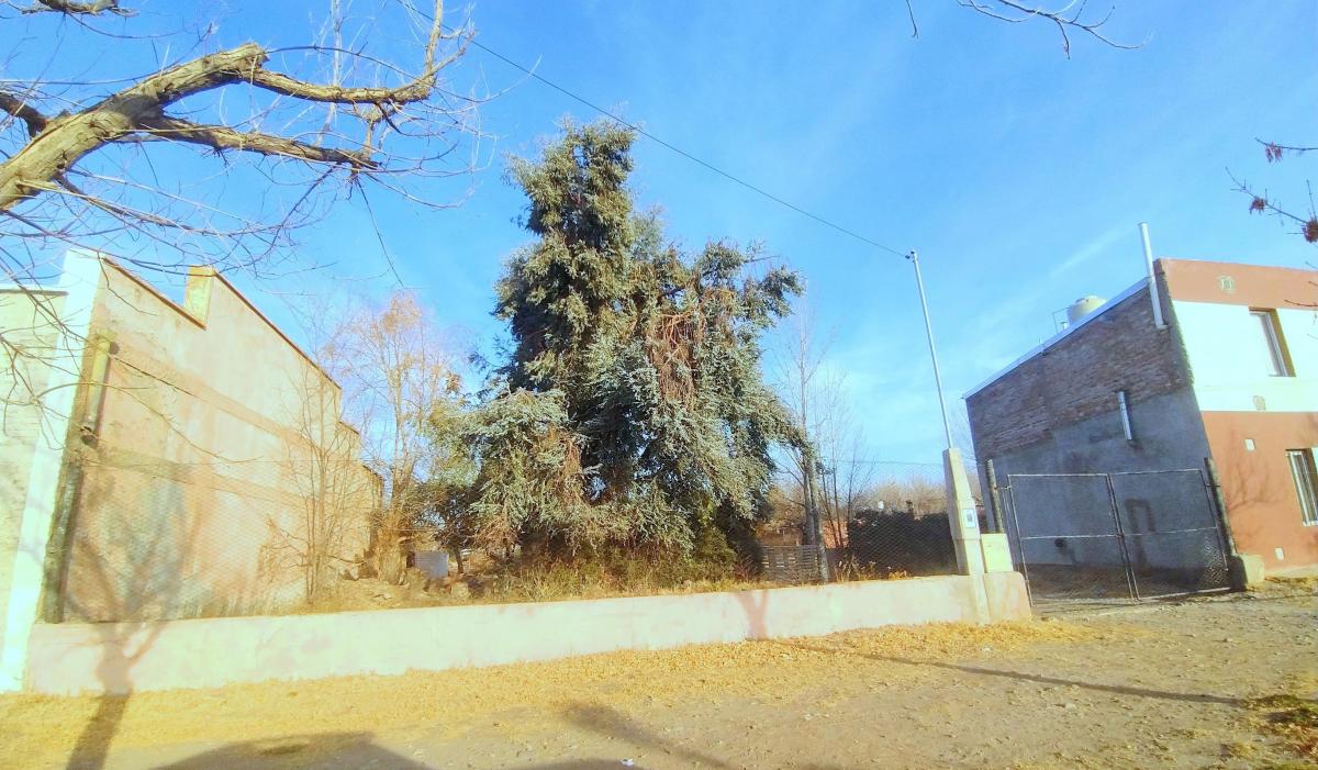 Exclusiva Casa en Venta - La Consulta, San Carlos, Mendoza. 4