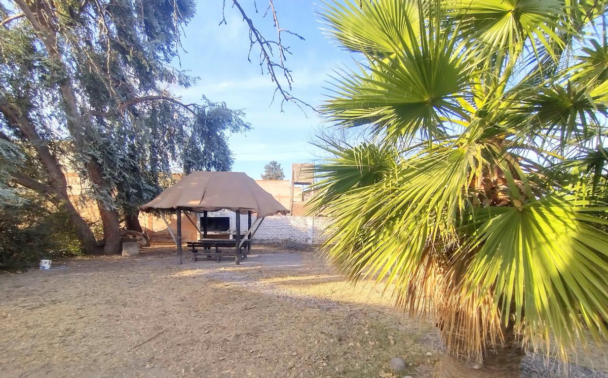 Exclusiva Casa en Venta - La Consulta, San Carlos, Mendoza. 2