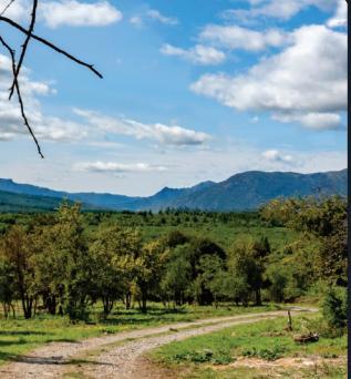 Tiny House en Aldea Silvestre 4