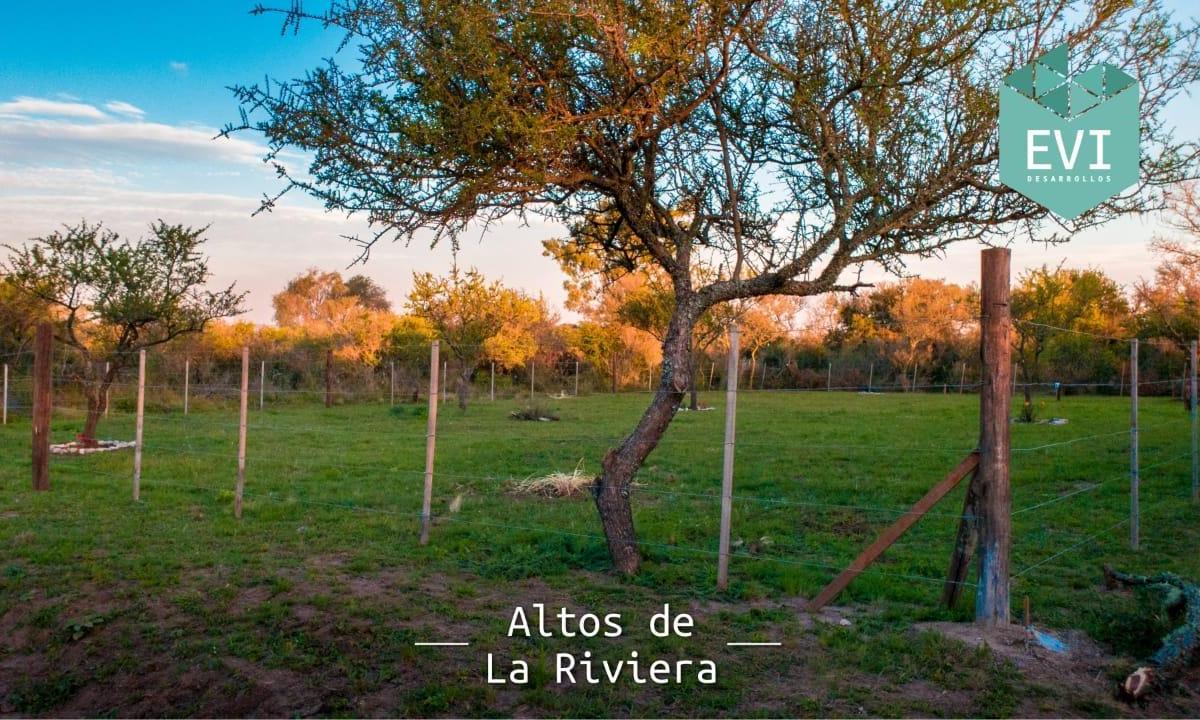 Venta Lote Altos de La Rivera - Sta Rosa de Calamuchita - Cordoba 1