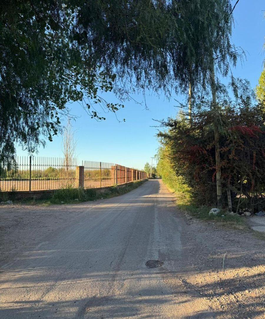 Foto de Terreno y Galpon, Frente a Quinta Las Rosas, imagen 3