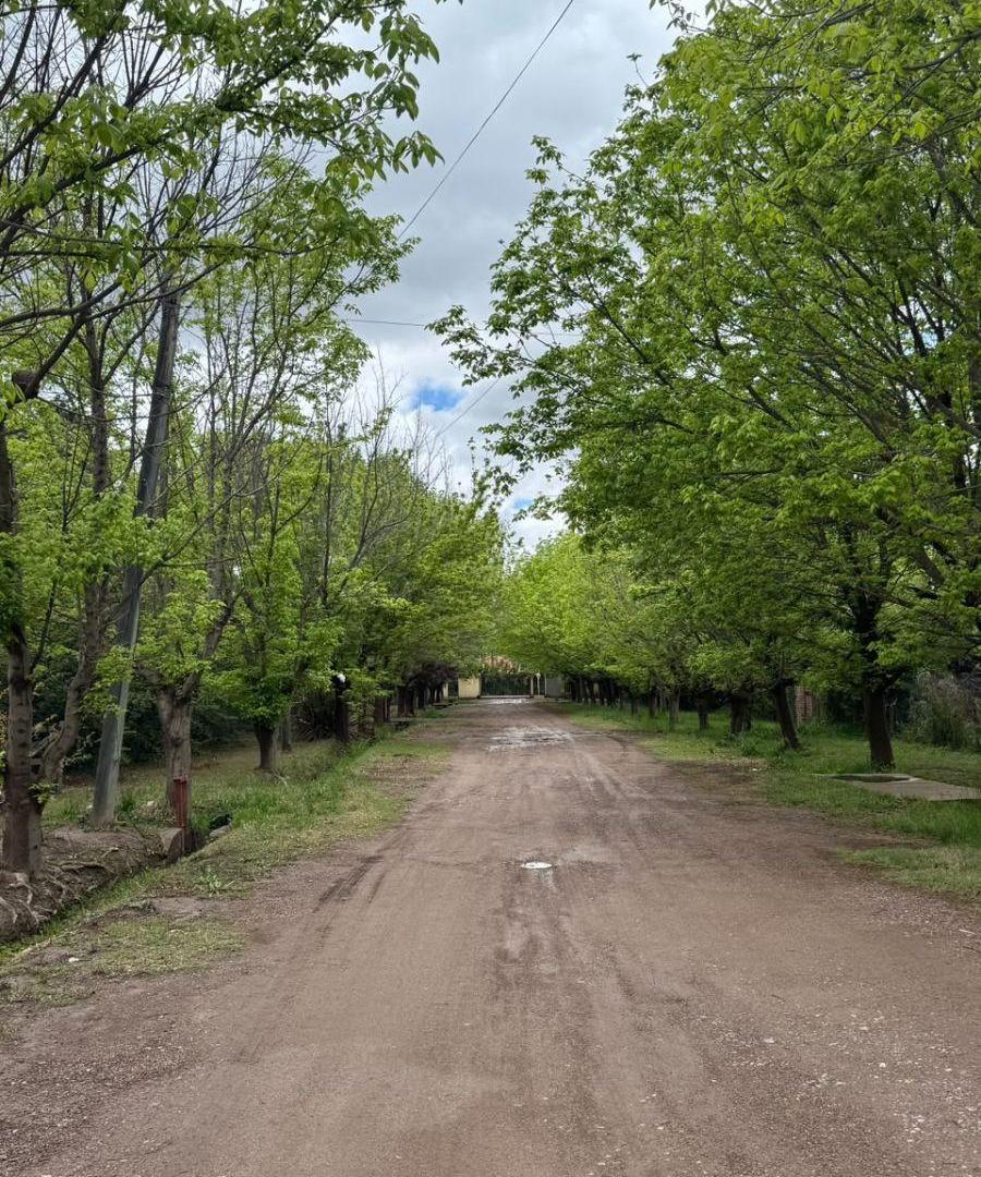 Foto de LOTE DE 1.552 M² EN VISTALBA | CALLEJÓN CERRADO SIN EXPENSAS | PISCINA, imagen 3