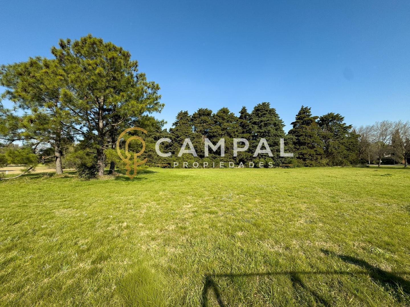 Foto de Terreno Lote en Venta en San Diego, Francisco Álvarez, Moreno, imagen 3