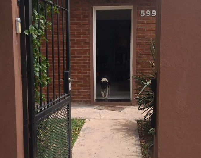 CASA PARQUE PILETA QUINCHO CENTRO CHIVILCOY 3