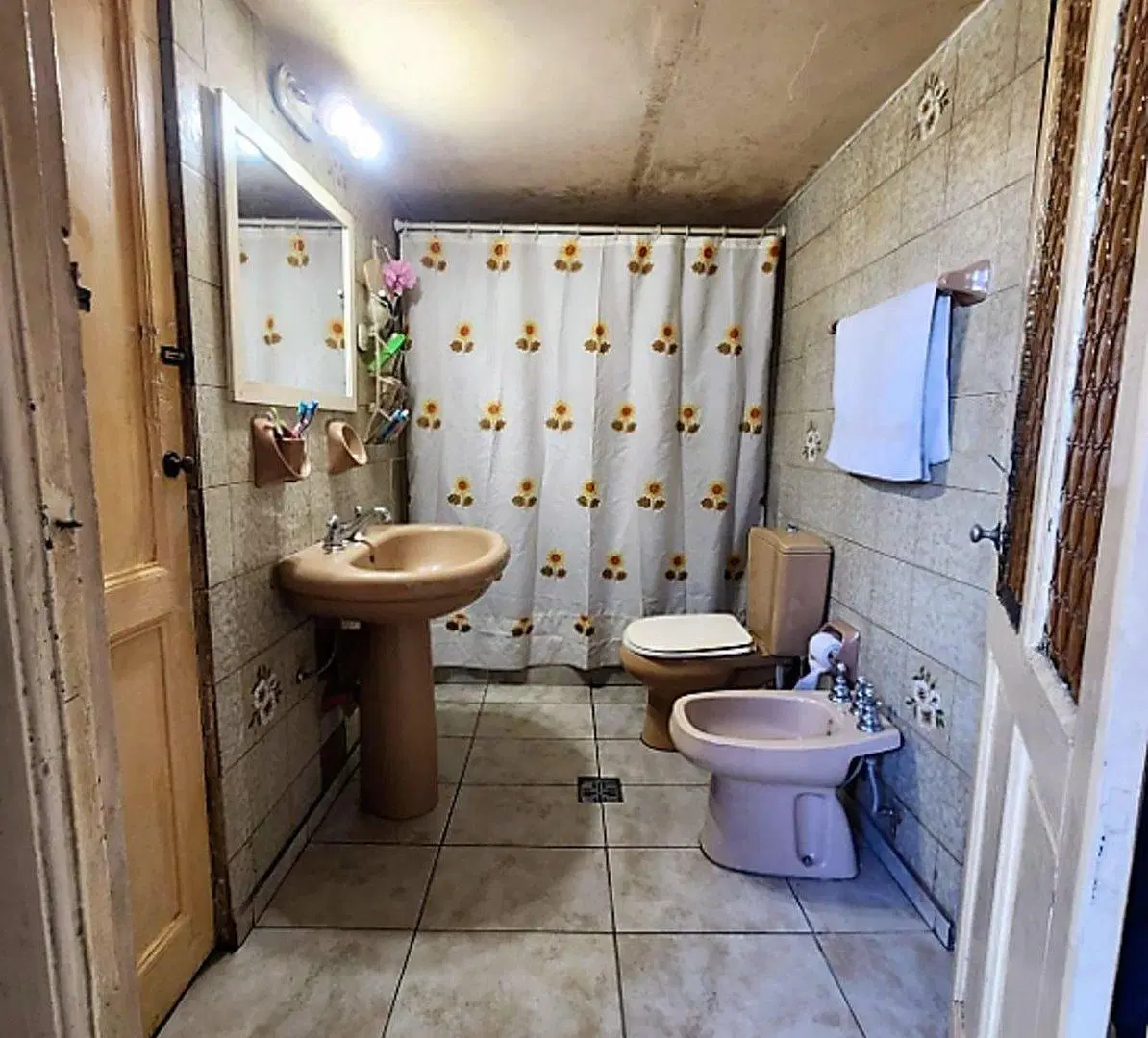 VENTA PH 6 AMBIENTES PARQUE CHACABUCO 3