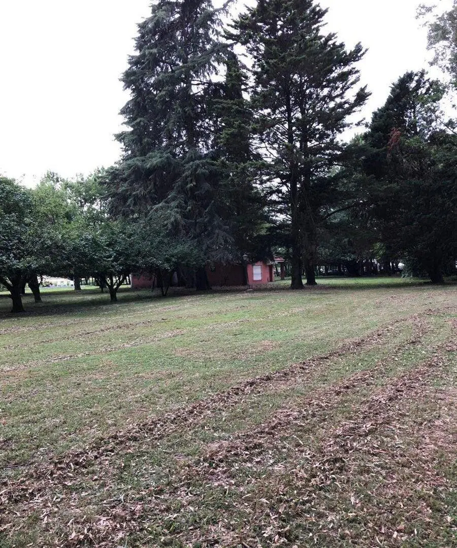 CAMPO EN VENTA 5 HECTAREAS EXALTACION DE LA CRUZ 4