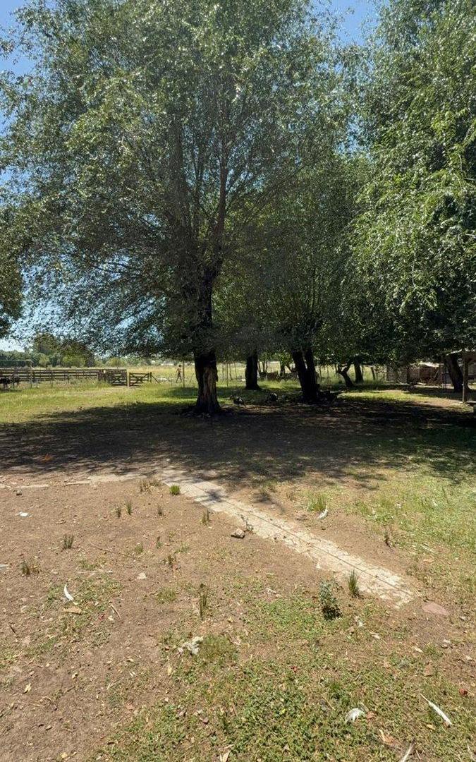 CAMPO EN VENTA EN EXALTACION DE LA CRUZ