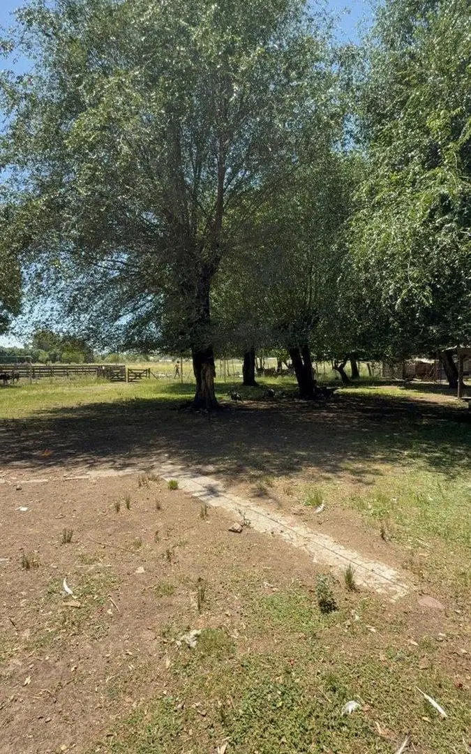 CAMPO EN VENTA EN EXALTACION DE LA CRUZ 2