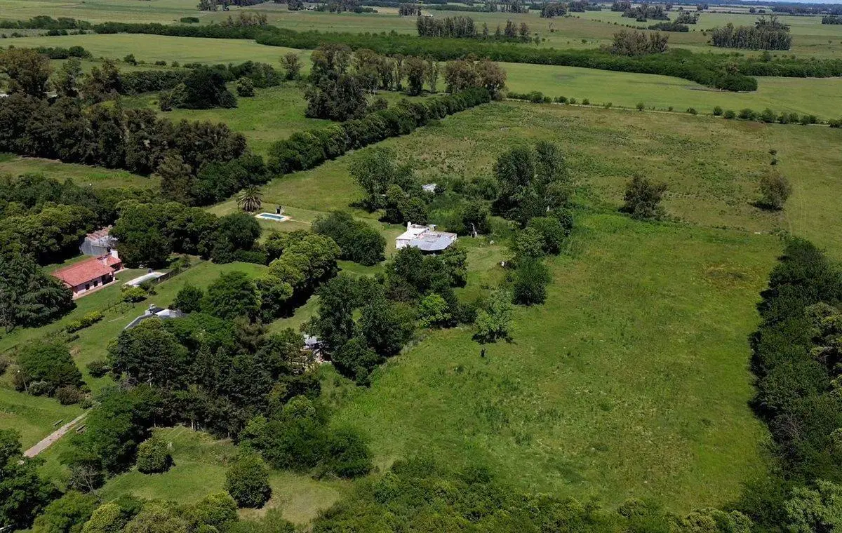 VENTA CHACRA CAMPO  8.5 Has RUTA 41 MERCEDES 5