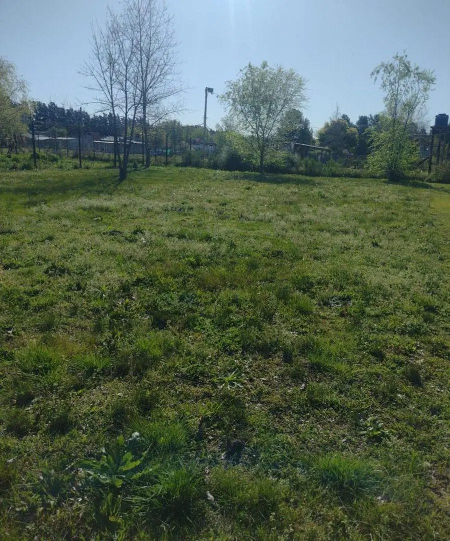 VENTA LOTE 774 METROS SUPERF GRAL RODRIGUEZ 2