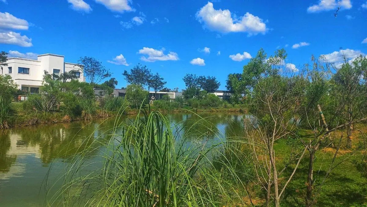 Lote a la Venta Barrio SAN RAMON PILAR DEL ESTE 5