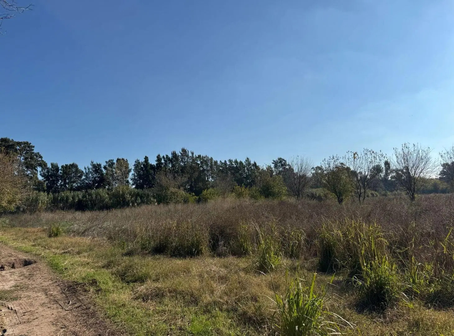 VENTA CAMPO 8,5 HECTAREAS, RUTA 25 PILAR 5