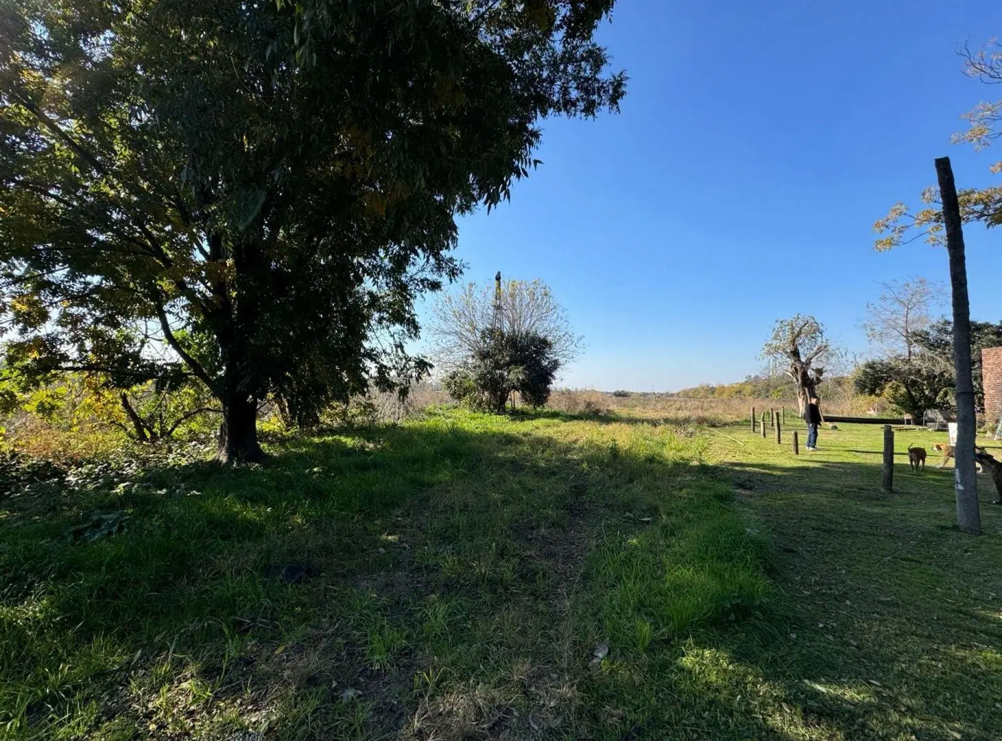 VENTA CAMPO 8,5 HECTAREAS, RUTA 25 PILAR 4