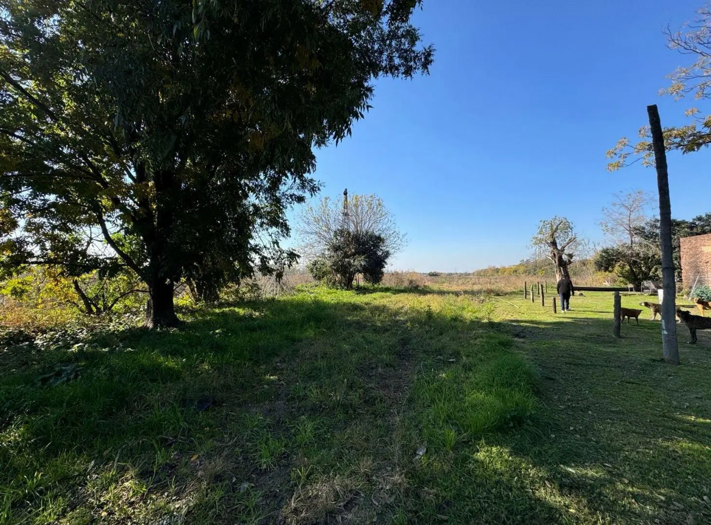 VENTA CAMPO 8,5 HECTAREAS, RUTA 25 PILAR 3