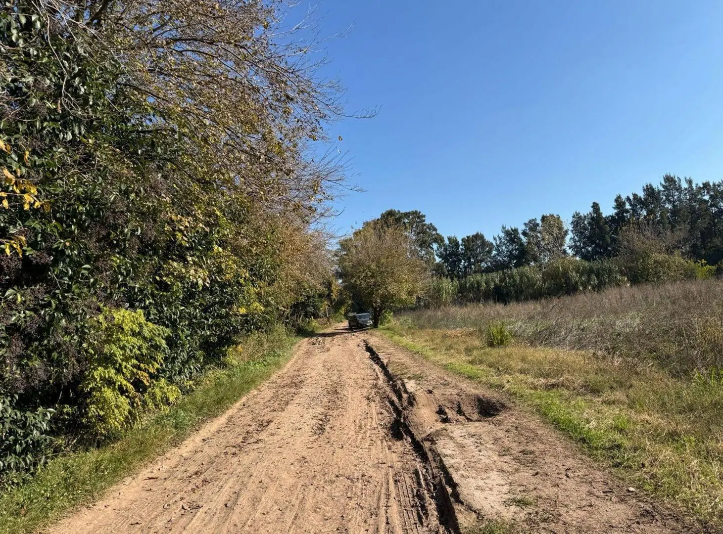 CAMPO EN VENTA 17 HECTAREAS PILAR RUTA 25 3