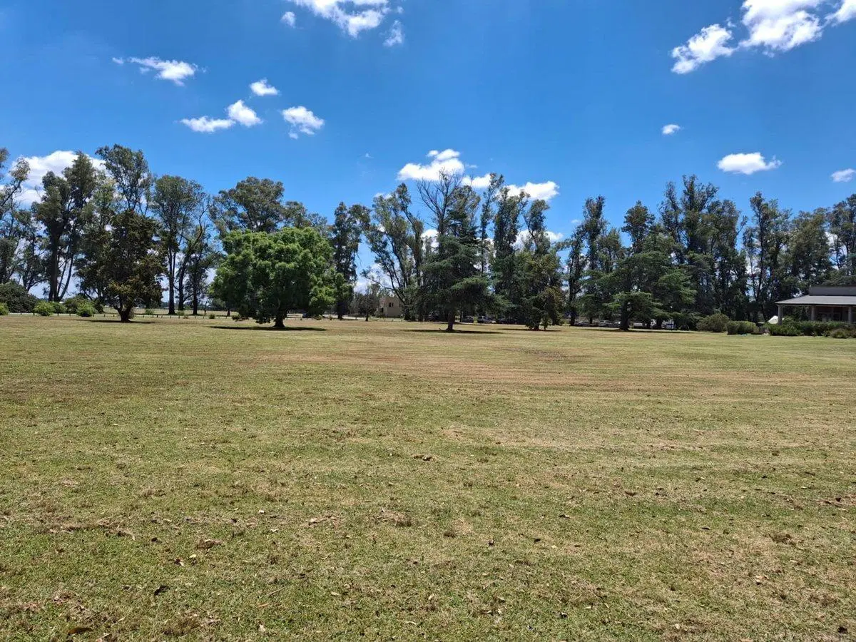 VENTA LOTE CENTRAL  CHACRAS SAN ANDRES USD 30000 3