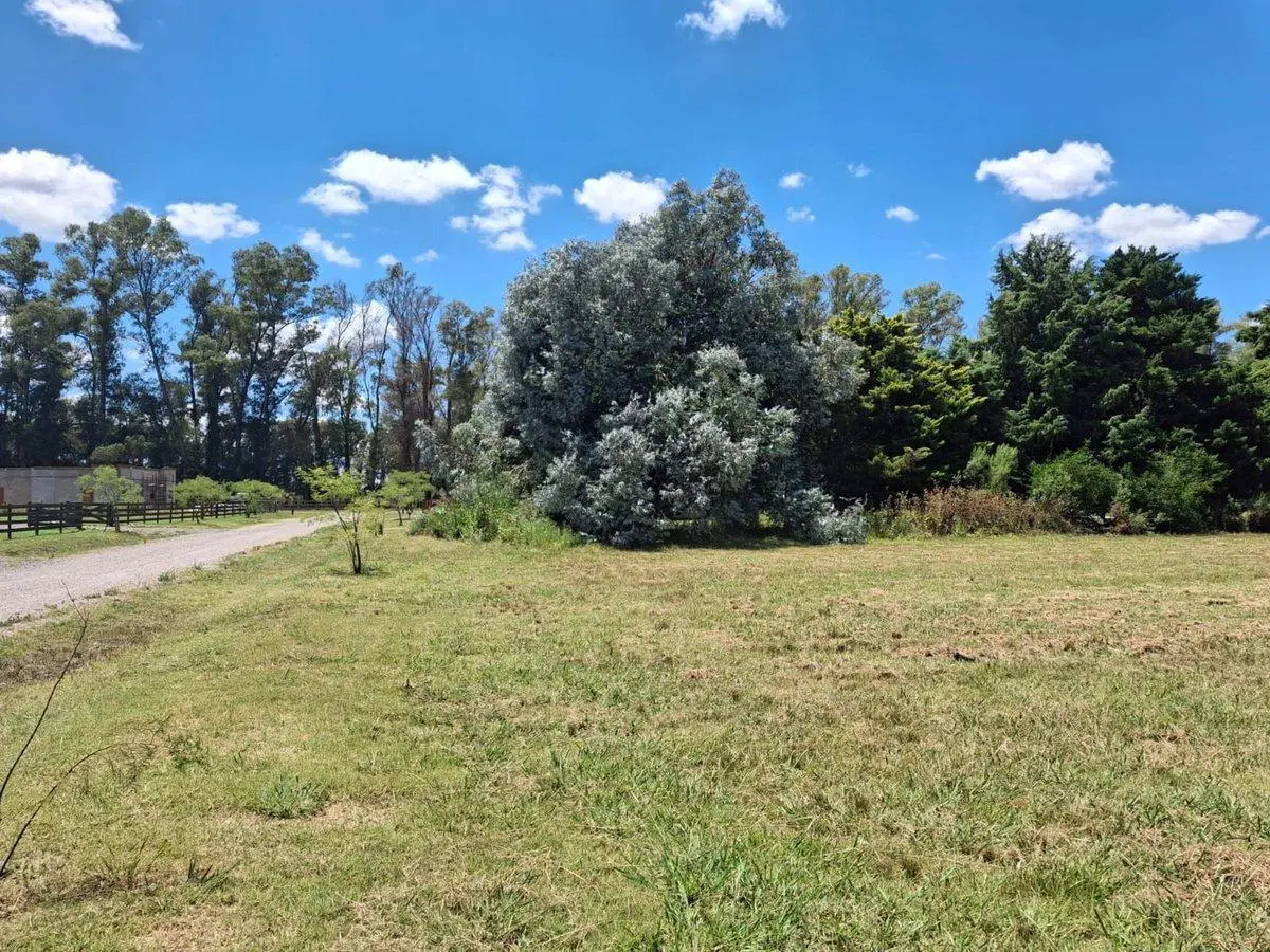 VENTA LOTE CENTRAL  CHACRAS SAN ANDRES USD 30000 5