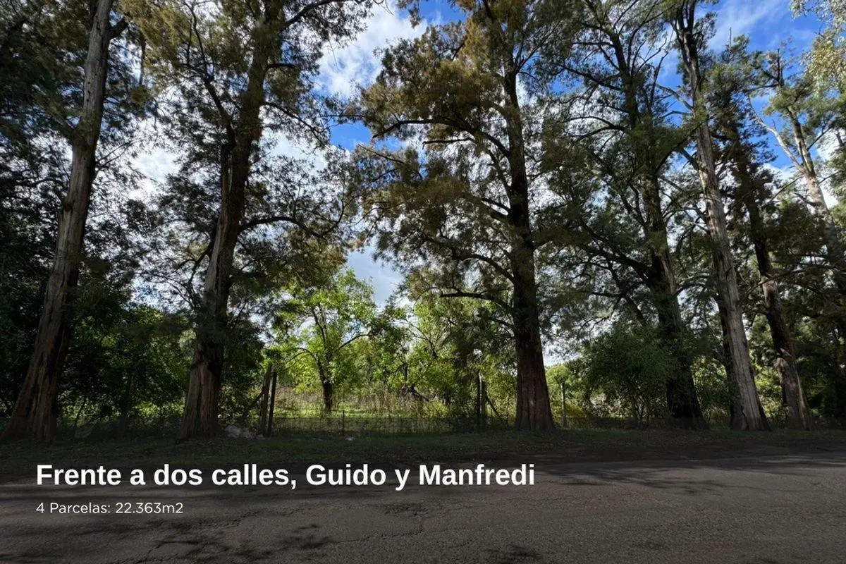 Terreno 22363 m2 Pilar Calle Guido para Desarrollo 4