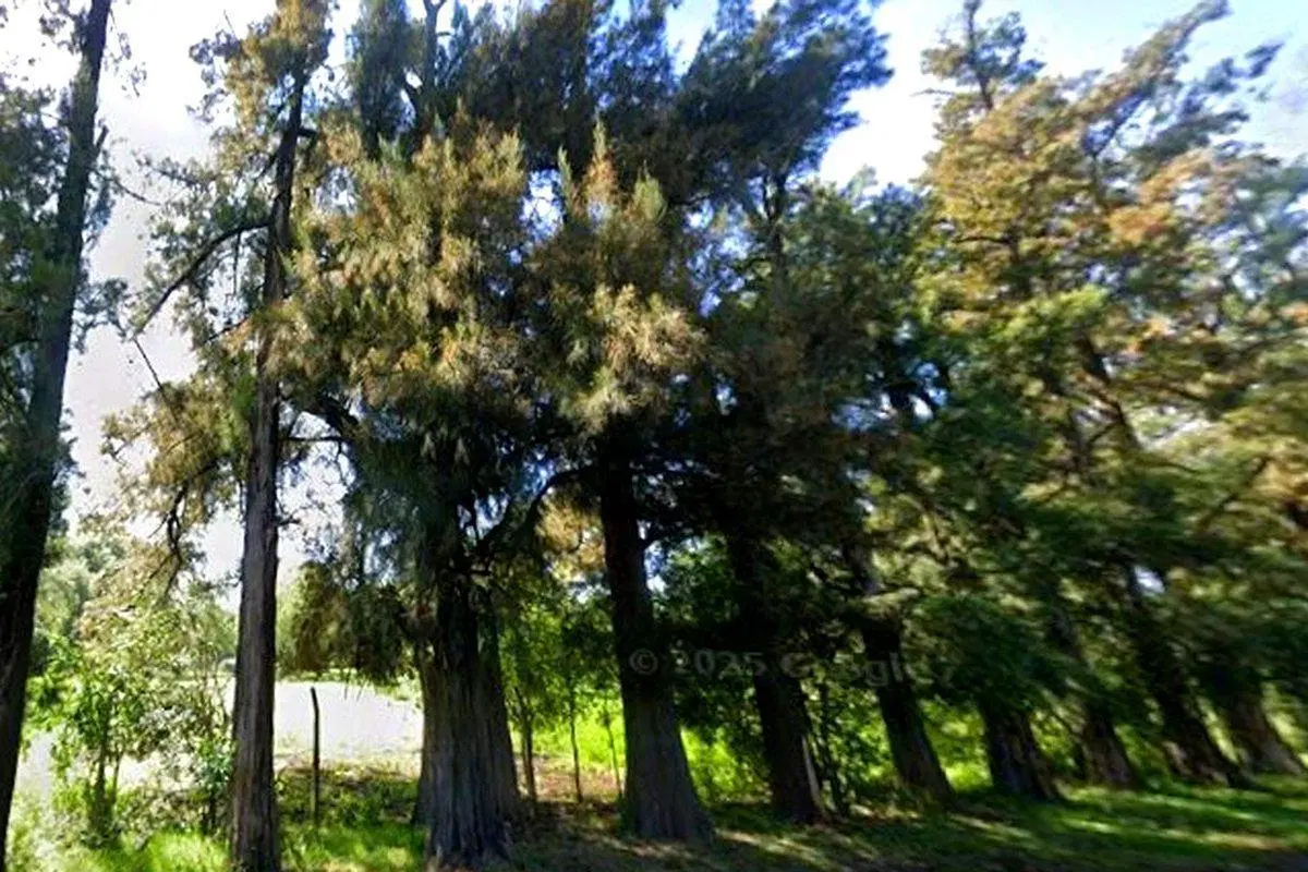 Terreno 22363 m2 Pilar Calle Guido para Desarrollo 3