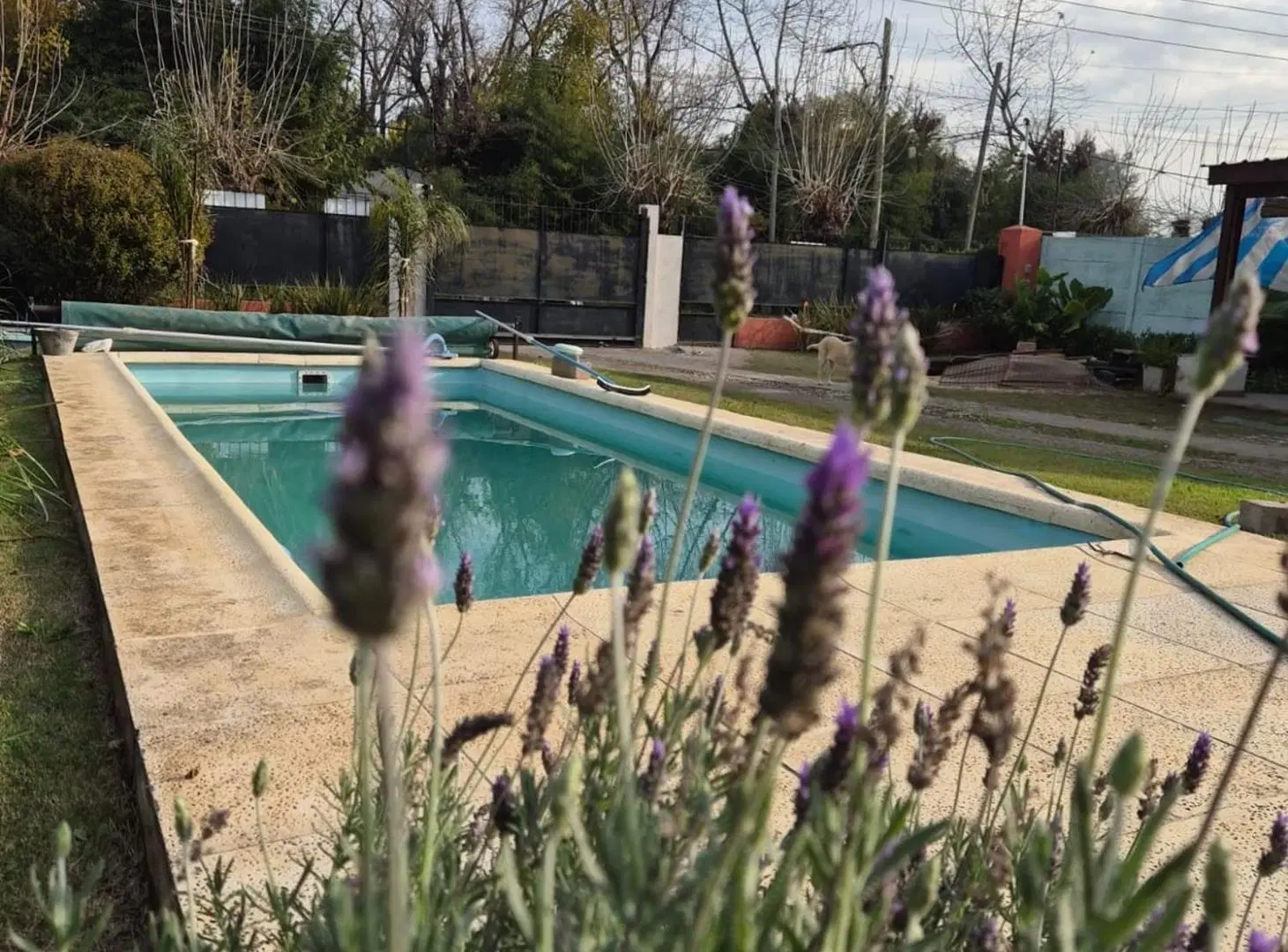 Venta Casa Gral Rodriguez Pileta Quincho Parque 4
