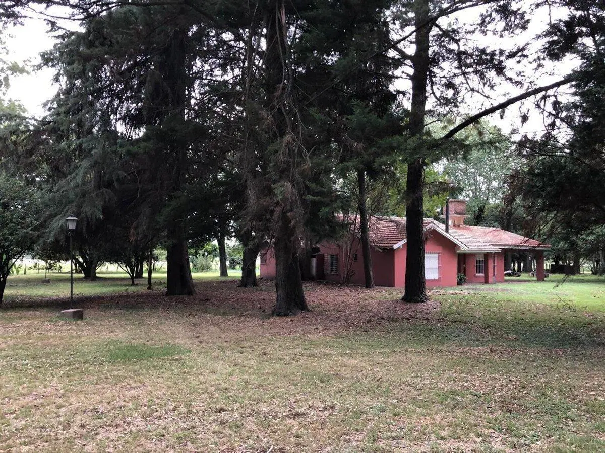 CAMPO EN VENTA 5 HECTAREAS EXALTACION DE LA CRUZ 2