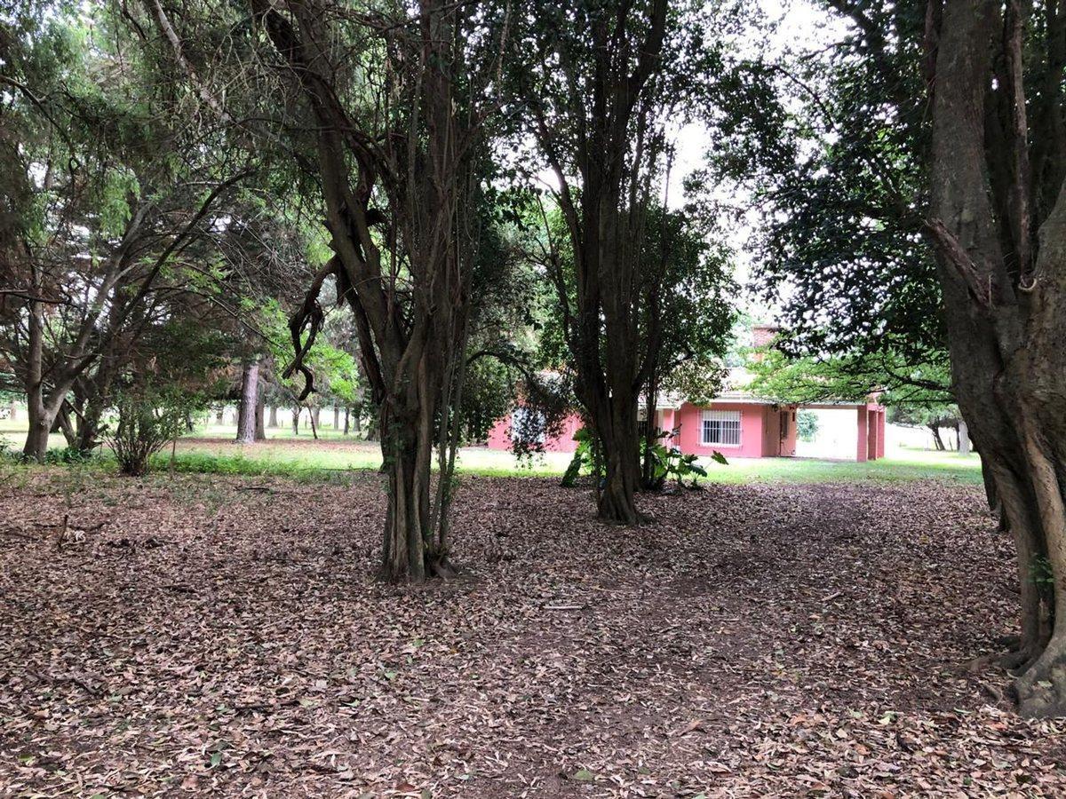 CAMPO EN VENTA EN EXALTACION DE LA CRUZ