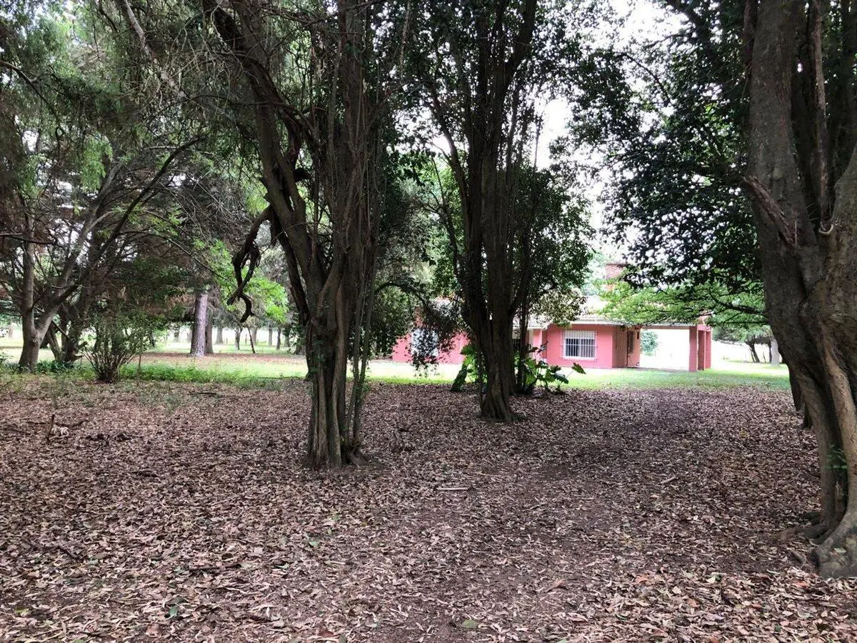 CAMPO EN VENTA EN EXALTACION DE LA CRUZ 3