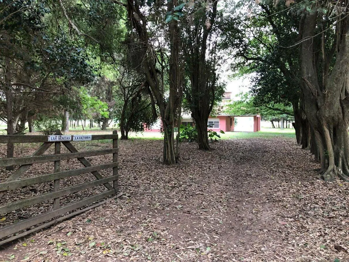 CAMPO EN VENTA EN EXALTACION DE LA CRUZ 4