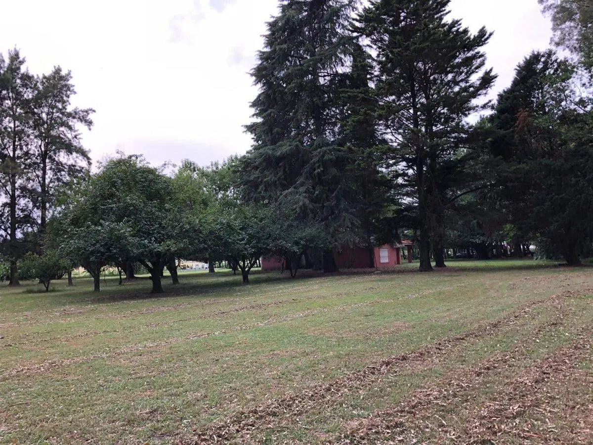 CAMPO EN VENTA EN EXALTACION DE LA CRUZ 5