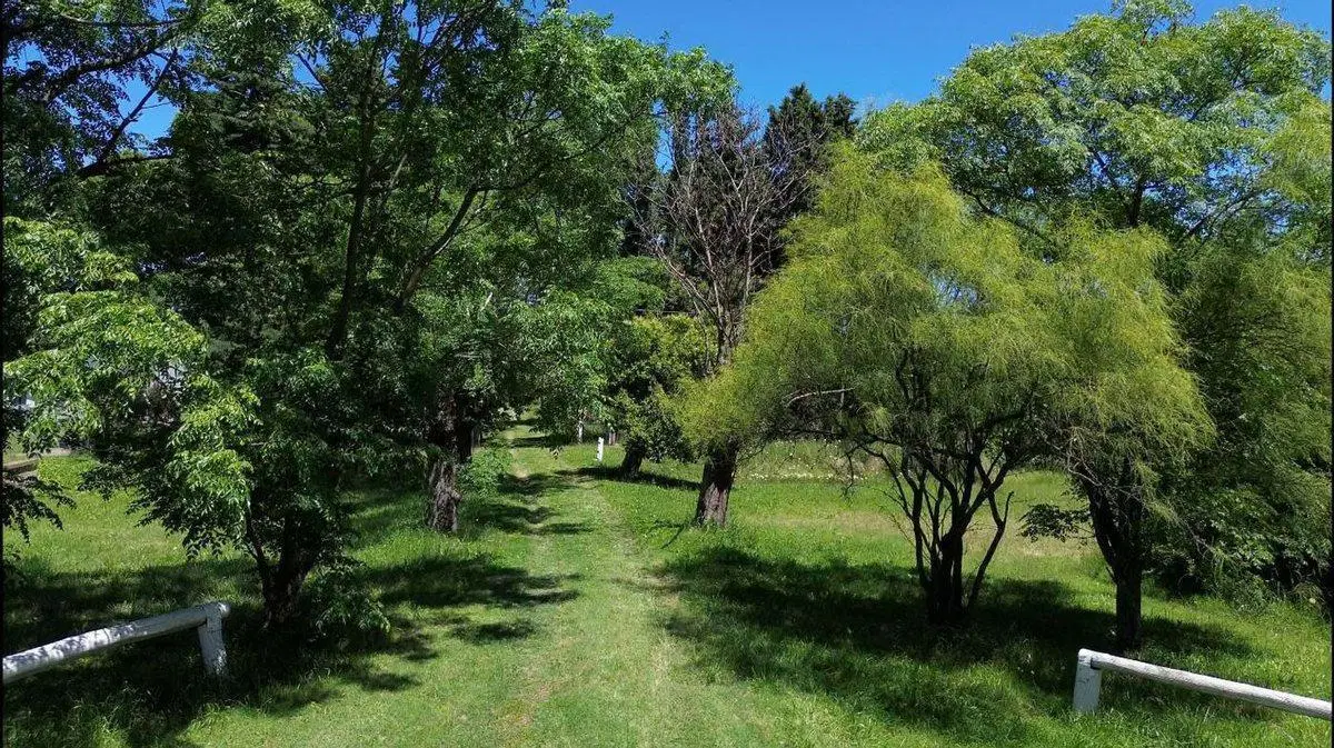 VENTA CHACRA CAMPO  8.5 Has RUTA 41 MERCEDES 4