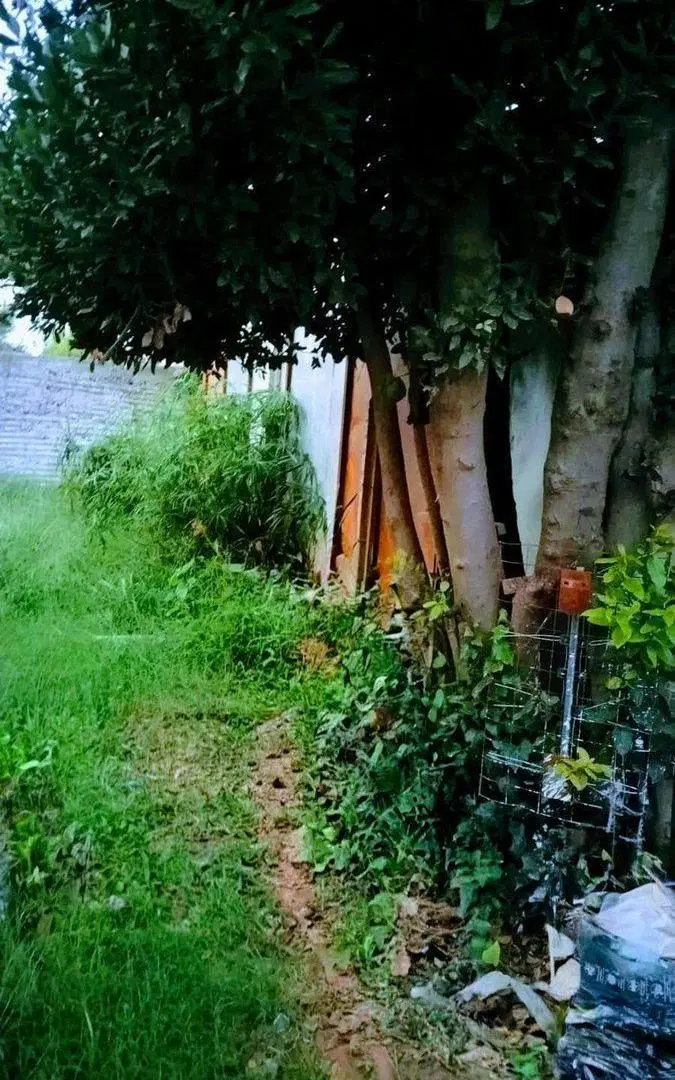 Venta casa 5 amb mas local Pte Derqui Pilar 4