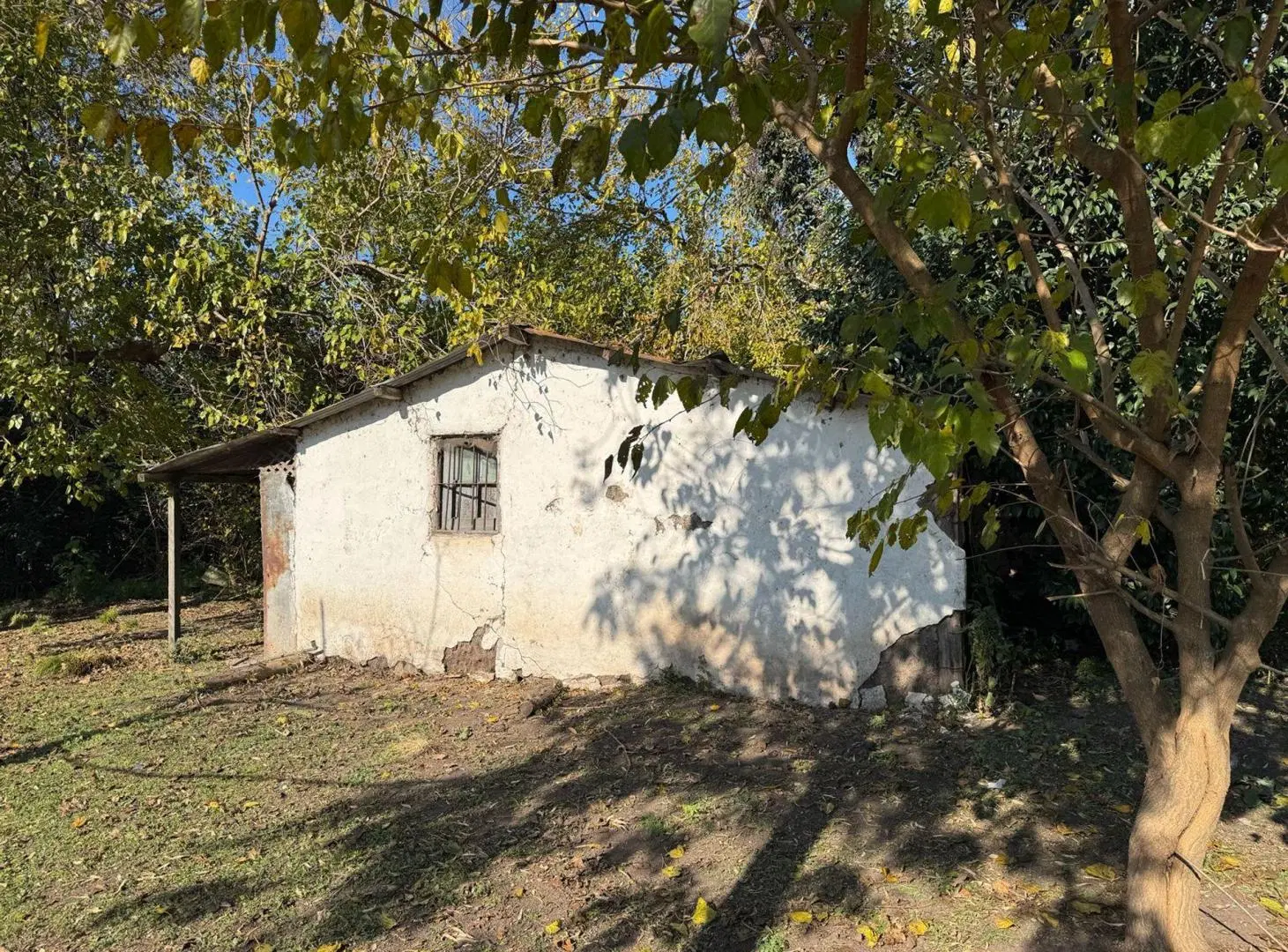 CAMPO EN VENTA 17 HECTAREAS PILAR RUTA 25 3