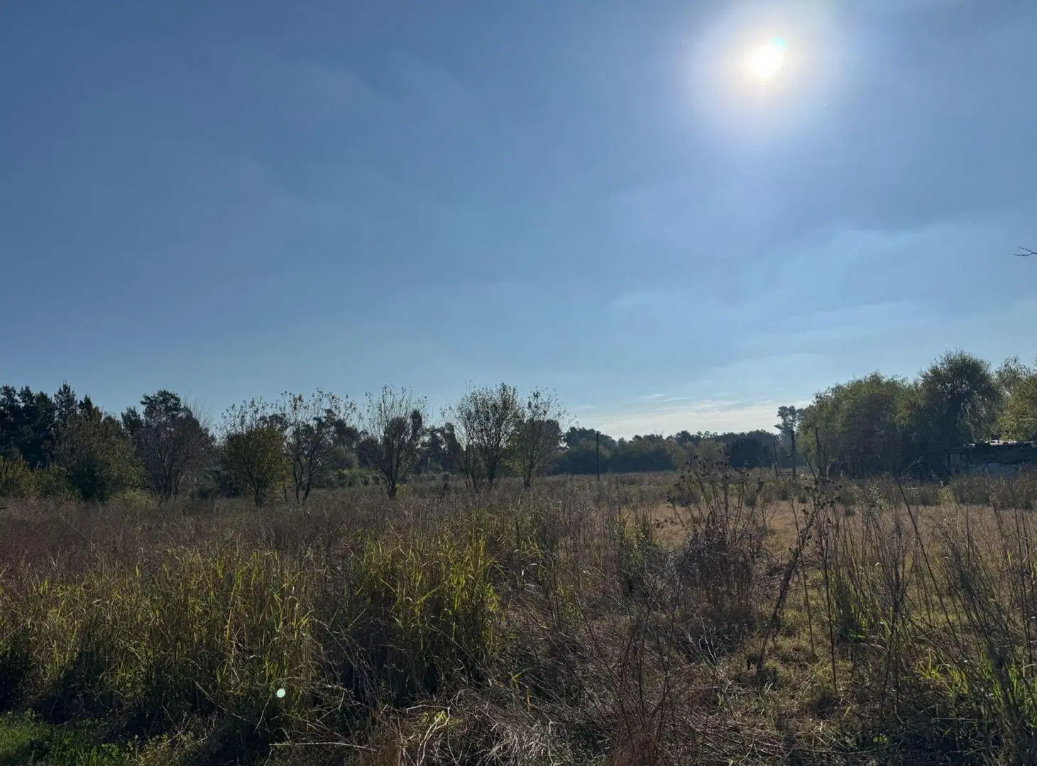 CAMPO EN VENTA 17 HECTAREAS PILAR RUTA 25 4
