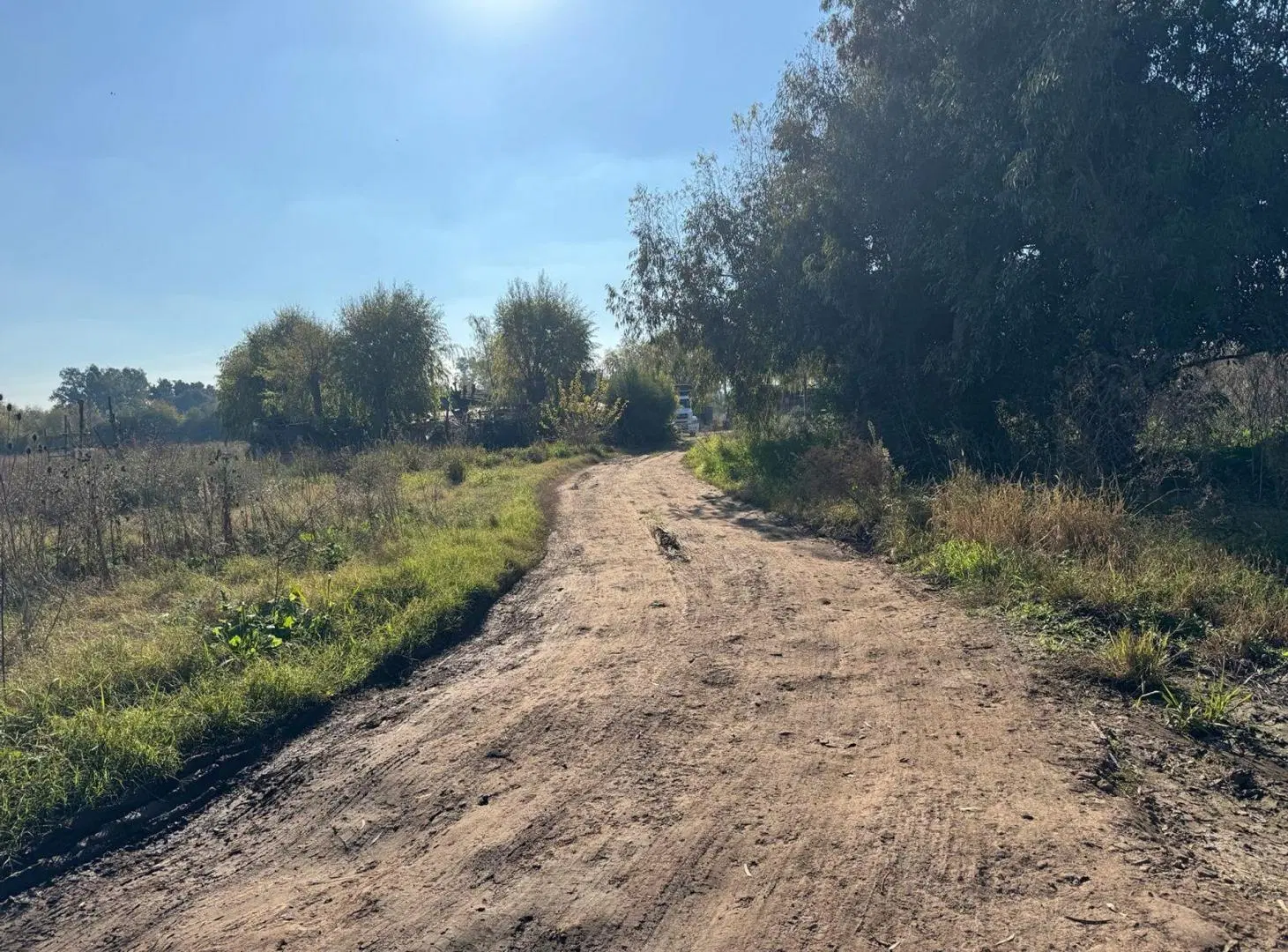 VENTA CAMPO 8,5 HECTAREAS, RUTA 25 PILAR 5