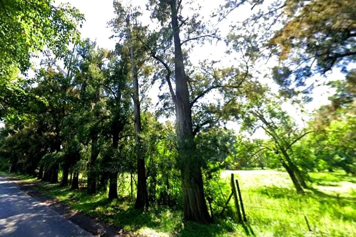 FRACCIÓN 22.363m2 APTA UR2 DESARROLLO PILAR 8